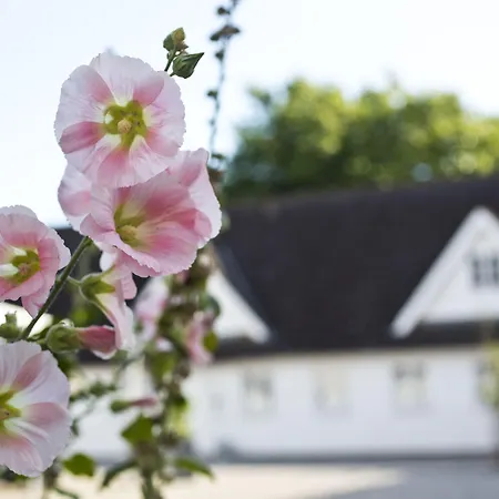 Gl. Brydegaard Otel Brydegård