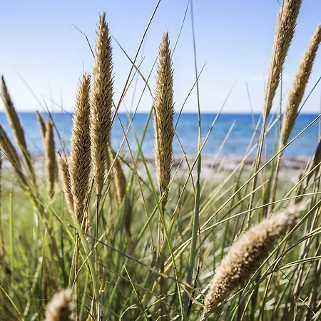 Gl. Brydegaard 3* Brydegård