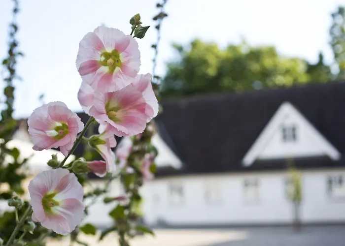 Gl. Brydegaard Hotel Brydegård